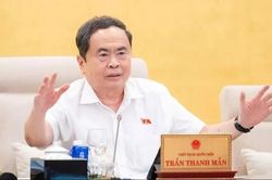 Giám sát phải đưa ra giải pháp xử lý doanh nghiệp trốn, chậm đóng bảo hiểm xã hội