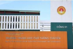 Bộ GD&ĐT: Thí sinh Tuyên Quang vẫn đăng ký xét tuyển, chờ kết luận điều tra