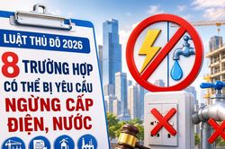 [INFOGRAPHIC] 8 trường hợp c&oacute; thể bị y&ecirc;u cầu ngừng cấp điện, nước