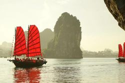 Đặc sắc trải nghiệm thuyền ba vách Cánh buồm đỏ ngắm hoa phất dụ ở Quảng Ninh