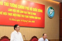 Phó Thủ tướng Hồ Quốc Dũng: Cà Mau cần khai thác hiệu quả các dự án chiến lược