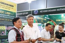 'Cõng' quốc bảo xuống phố du lịch
