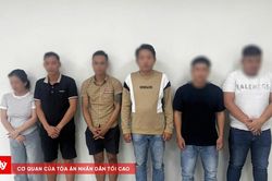 Đ&agrave; Nẵng khởi tố vụ &aacute;n đường d&acirc;y c&aacute; độ b&oacute;ng đ&aacute; gần 8 tỷ đồng