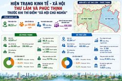 Hiện trạng kinh tế - xã hội Thư Lâm và Phúc Thịnh trước khi thí điểm 'xã hội chủ nghĩa'