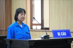 Tuyên án chung thân Tổng Giám đốc lừa đảo hơn 426 tỉ đồng