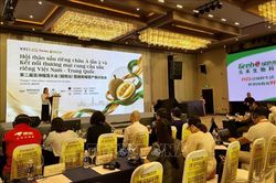 Hướng đi cạnh tranh cho sầu ri&ecirc;ng xuất khẩu