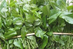 Những loại rau chỉ có theo mùa, bỏ lỡ phải đợi cả năm