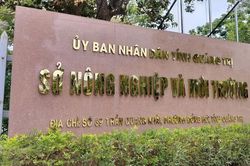 Đề xuất xây Nhà máy Xi măng Bạch Đằng quy mô nghìn tỷ: Sự thận trọng cần thiết