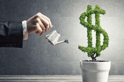 Có 200 triệu đồng nhàn rỗi, cô gái 27 tuổi tìm cách để tiền sinh lời