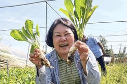 Mayu Ino: 'C&ocirc;ng việc của t&ocirc;i l&agrave; đối diện trực tiếp với con người'