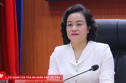 Phó Chánh án TANDTC Nguyễn Hải Trâm làm việc với Tòa Phúc thẩm TANDTC tại Đà Nẵng