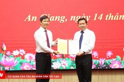 Trung tướng Đinh Văn Nơi giữ chức Phó Bí thư Tỉnh ủy An Giang kiêm Bí thư Đảng ủy Đặc khu Phú Quốc