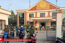Bắt 1.208 đối tượng li&ecirc;n quan đến ma t&uacute;y