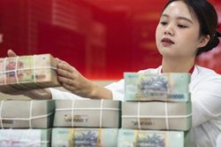 L&atilde;i suất ng&acirc;n h&agrave;ng 14/7/2026: Big 4 đi ngang, Sacombank giữ mức n&agrave;o?