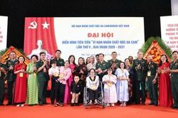 Hơn 250 đại biểu dự Đại hội Hội Nạn nhân chất độc da cam lần VI