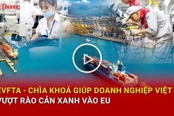 EVFTA: Chìa khóa giúp doanh nghiệp Việt vượt rào cản xanh vào EU