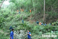 Hành lang an toàn điện vẫn tiềm ẩn nhiều rủi ro