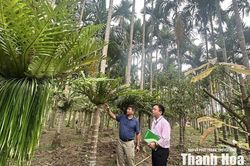 Điểm tựa cho hành trình giảm nghèo bền vững