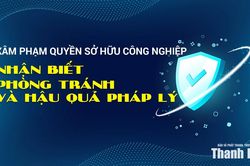 Xâm phạm quyền sở hữu công nghiệp - Nhận biết, phòng tránh và hậu quả pháp lý
