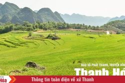 Viên ngọc xanh của xứ Thanh