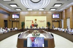 Kiến nghị t&aacute;ch kỳ thi tốt nghiệp trung học phổ th&ocirc;ng v&agrave; đại học