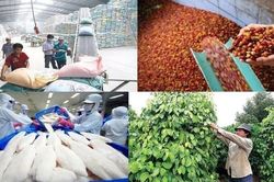 Mục tiêu xuất khẩu nông, lâm, thủy sản đạt 100 tỷ USD: Thước đo khả năng chuyển đổi sang mô hình tăng trưởng mới