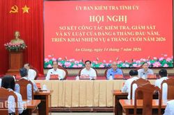 11 tổ chức Đảng và 178 đảng viên bị kỷ luật trong 6 tháng đầu năm