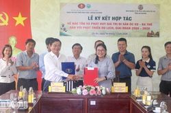 Phát triển di sản văn hóa Óc Eo theo hướng 'di sản sống'