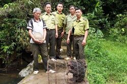 Thả cá thể khỉ mặt đỏ về môi trường tự nhiên