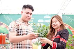 N&acirc;ng cấp sản phẩm OCOP, đ&aacute;p ứng thị trường