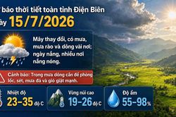 Bản tin Dự báo thời tiết ngày 15/7/2026