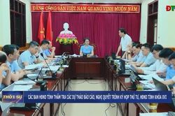 C&aacute;c ban HĐND tỉnh thẩm tra c&aacute;c dự thảo b&aacute;o c&aacute;o, nghị quyết tr&igrave;nh Kỳ họp thứ tư, HĐND tỉnh kh&oacute;a XVI