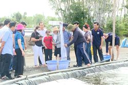 Hội N&ocirc;ng d&acirc;n Cần Thơ học tập m&ocirc; h&igrave;nh n&ocirc;ng nghiệp bền vững tại Đồng Nai