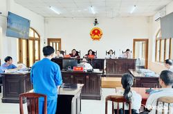 Lãnh án vì sử dụng 2 giấy chứng nhận quyền sử dụng đất giả để lừa vay tiền