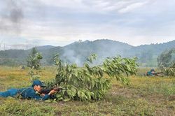 X&atilde; Ph&ugrave; Mỹ Đ&ocirc;ng ho&agrave;n th&agrave;nh diễn tập t&aacute;c chiến trong khu vực ph&ograve;ng thủ