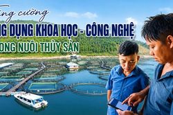 Tăng cường ứng dụng khoa học - c&ocirc;ng nghệ trong nu&ocirc;i thủy sản