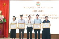 Hội N&ocirc;ng d&acirc;n tỉnh triển khai nhiệm vụ những th&aacute;ng cuối năm