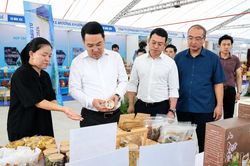 Chủ tịch UBND tỉnh Nguyễn Tuấn Anh kiểm tra c&ocirc;ng t&aacute;c chuẩn bị Kh&ocirc;ng gian trưng b&agrave;y x&uacute;c tiến đầu tư, thương mại v&agrave; du lịch tỉnh L&agrave;o Cai