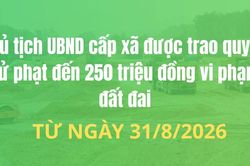 Chủ tịch UBND cấp x&atilde; được trao quyền xử phạt đến 250 triệu đồng vi phạm đất đai từ ng&agrave;y 31/8/2026