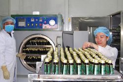 Phát huy lợi thế so sánh của cây dược liệu