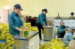 Cơ hội mở rộng 'cánh cửa' xuất khẩu cho doanh nghiệp Đất Tổ