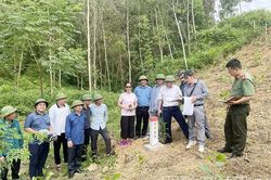 Tạo mặt bằng sạch, mở dư địa phát triển
