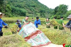 Tuổi trẻ Chiềng Cơi xung kích vì cuộc sống cộng đồng