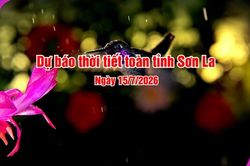 Dự b&aacute;o thời tiết to&agrave;n tỉnh Sơn La ng&agrave;y 15/7/2026