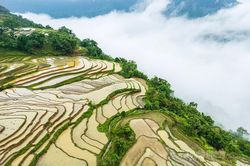 Kiệt t&aacute;c giữa ng&agrave;n m&acirc;y