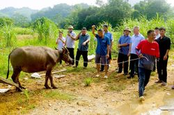 X&atilde; Đồng Y&ecirc;n trao tr&acirc;u giống hỗ trợ hộ ngh&egrave;o