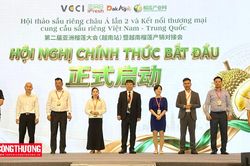 Kết nối thương mại cung cầu sầu riêng Việt Nam - Trung Quốc