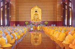 An cư - mùa của người học đạo