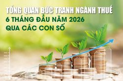 Infographics: Tổng quan bức tranh ngành Thuế 6 tháng đầu năm 2026 qua các con số