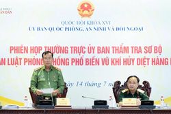 Thẩm tra sơ bộ dự án Luật Phòng, chống phổ biến vũ khí hủy diệt hàng loạt